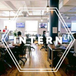 Intern