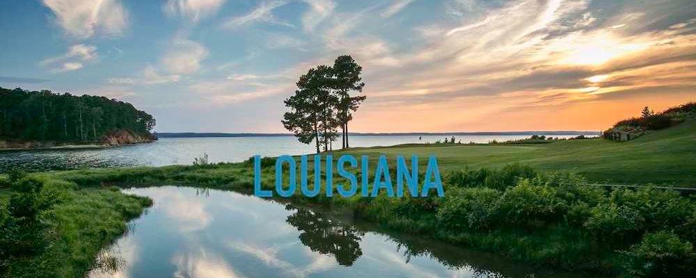 Louisiana State Banner