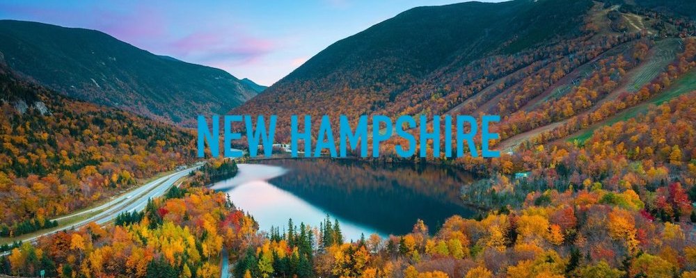 New Hampshire State Banner