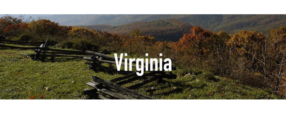 Virginia State Banner