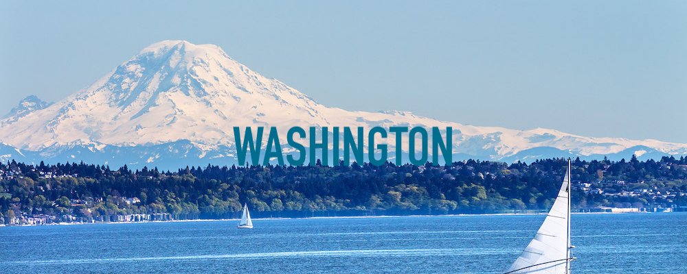 Washington State Banner